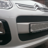Защита радиатора "Standart" Citroen C3 Picasso (2012-2016) чёрная купить недорого с доставкой в Балахна