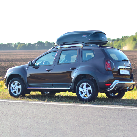 Накладки на двери (молдинги) (4 шт) (ABS) Renault Duster (2012-2020 г.в.) купить недорого с доставкой в Балахна